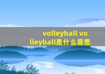 volleyball volleyball是什么意思